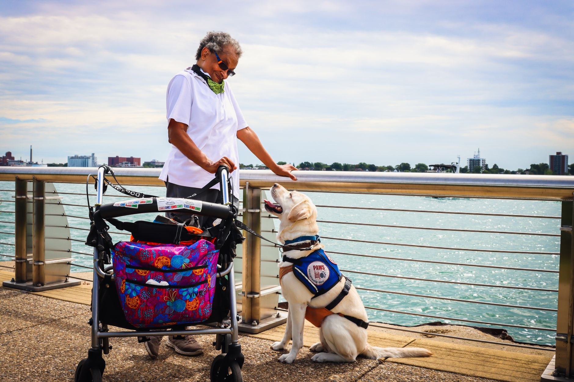 easyJet Pet Policy 2026: No Pets, Only Assistance Dogs