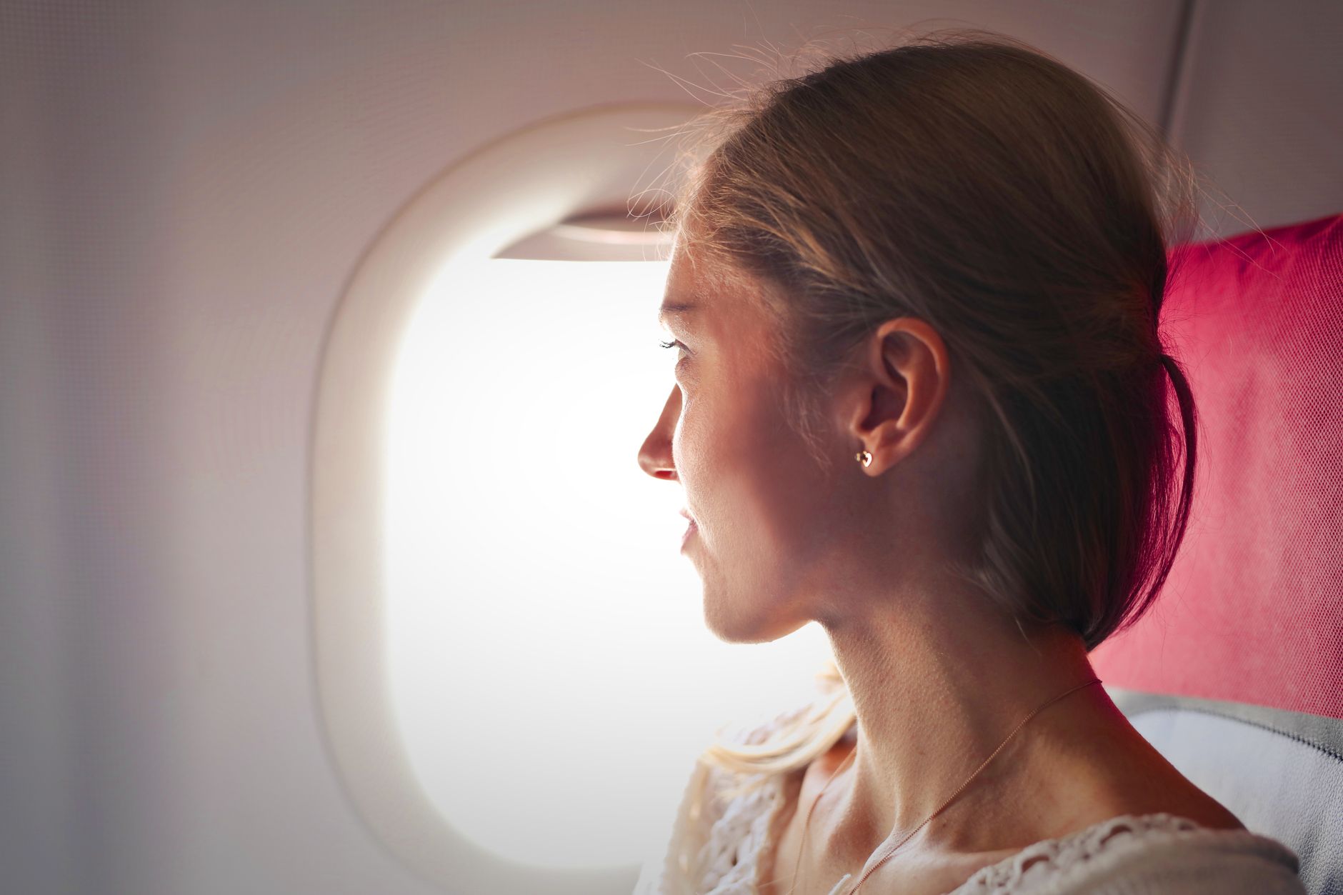 Delta Airlines Pet Carrier Size, Fees, and Cabin Rules (2026)