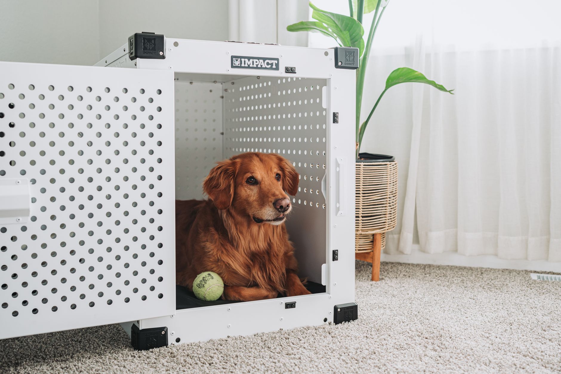 dog travel crate on airport terminal floor