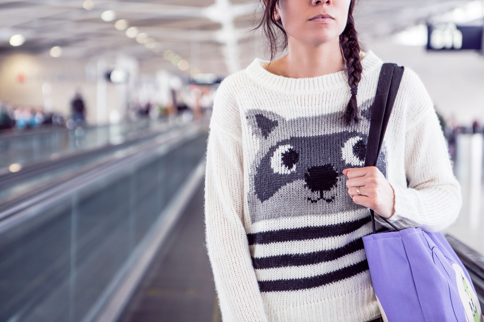 Pets on Southwest Airlines: Fees, Carrier Size & Rules (2026)