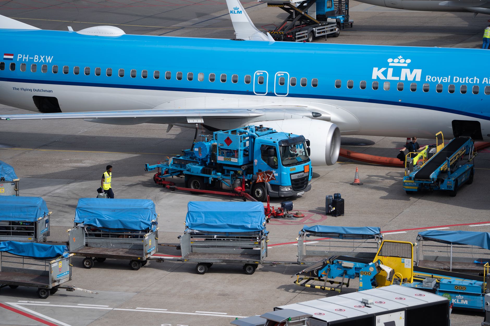 airline staff loading dog crate into cargo hold