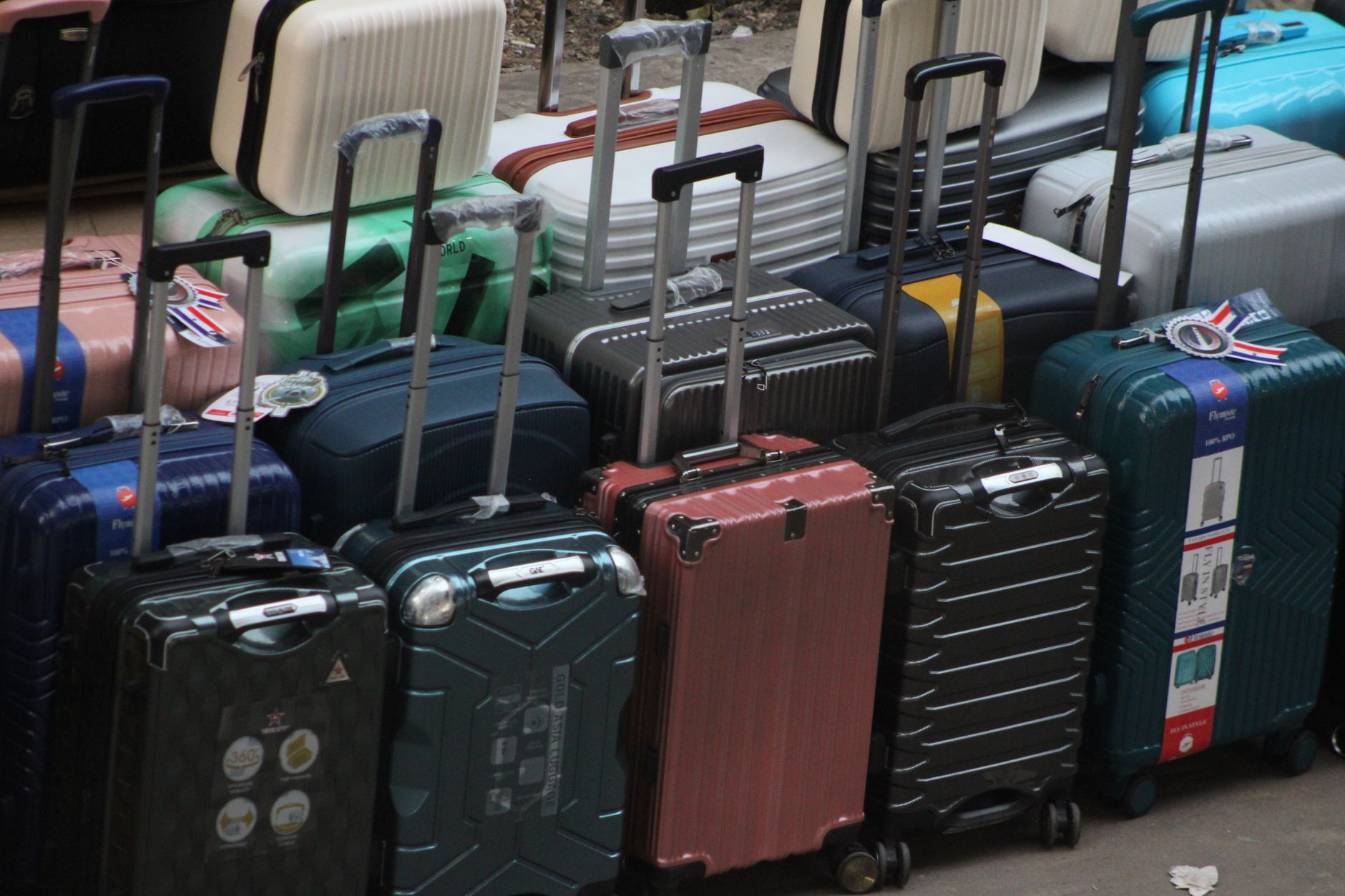 Cat Travel Crate Guide: IATA Sizing, Airline Rules & Required Documents