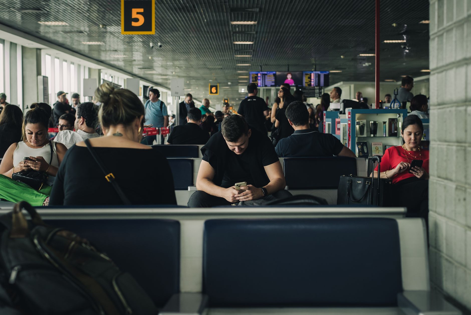 Passport for Dog: What It Is, Who Can Get One, and 2026 Rules