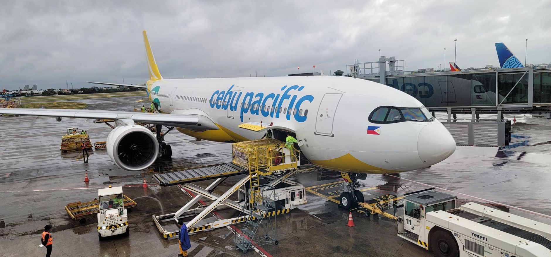 airport cargo worker loading pet travel crate onto plane