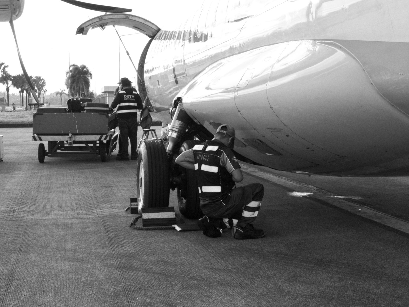 Delta Airlines Dog Policy 2026: In-Cabin Rules, Fees, Cargo Pause, and Service Dogs