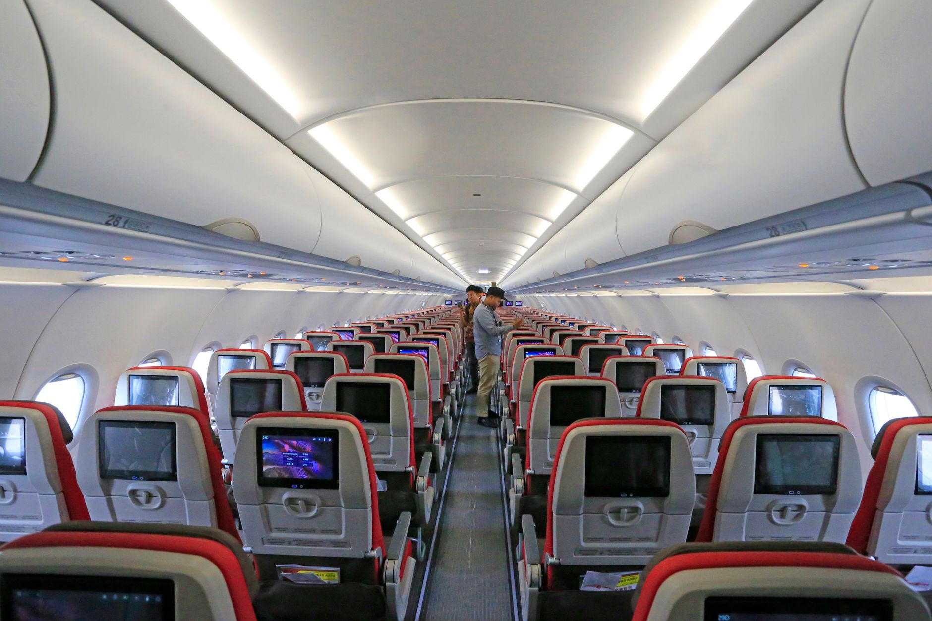 Aer Lingus Pet Policy 2026: Hold Travel, Service Dogs and Ireland Entry Rules