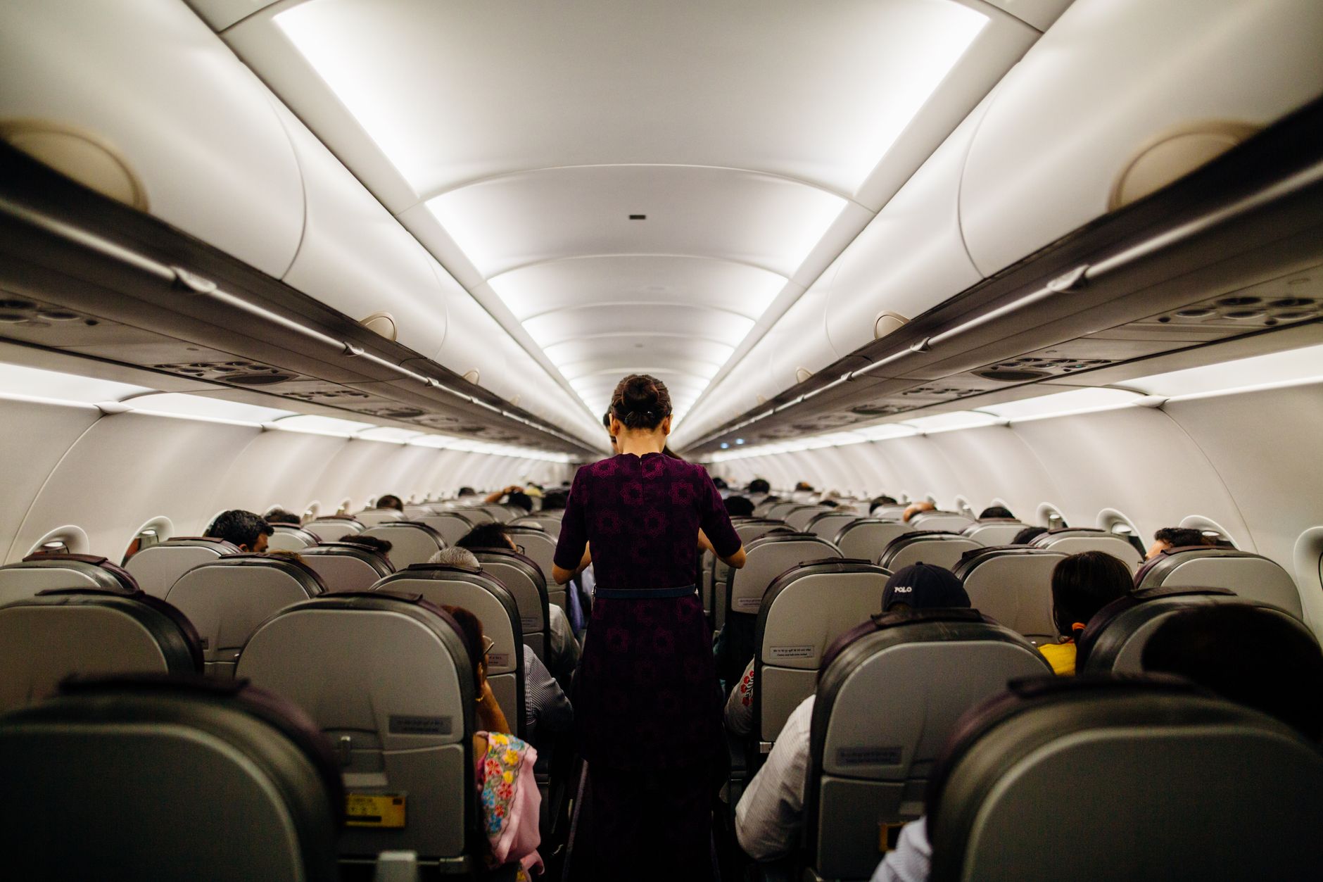 Dogs on Flights: Airline Rules, Health Certificates & Documents Explained