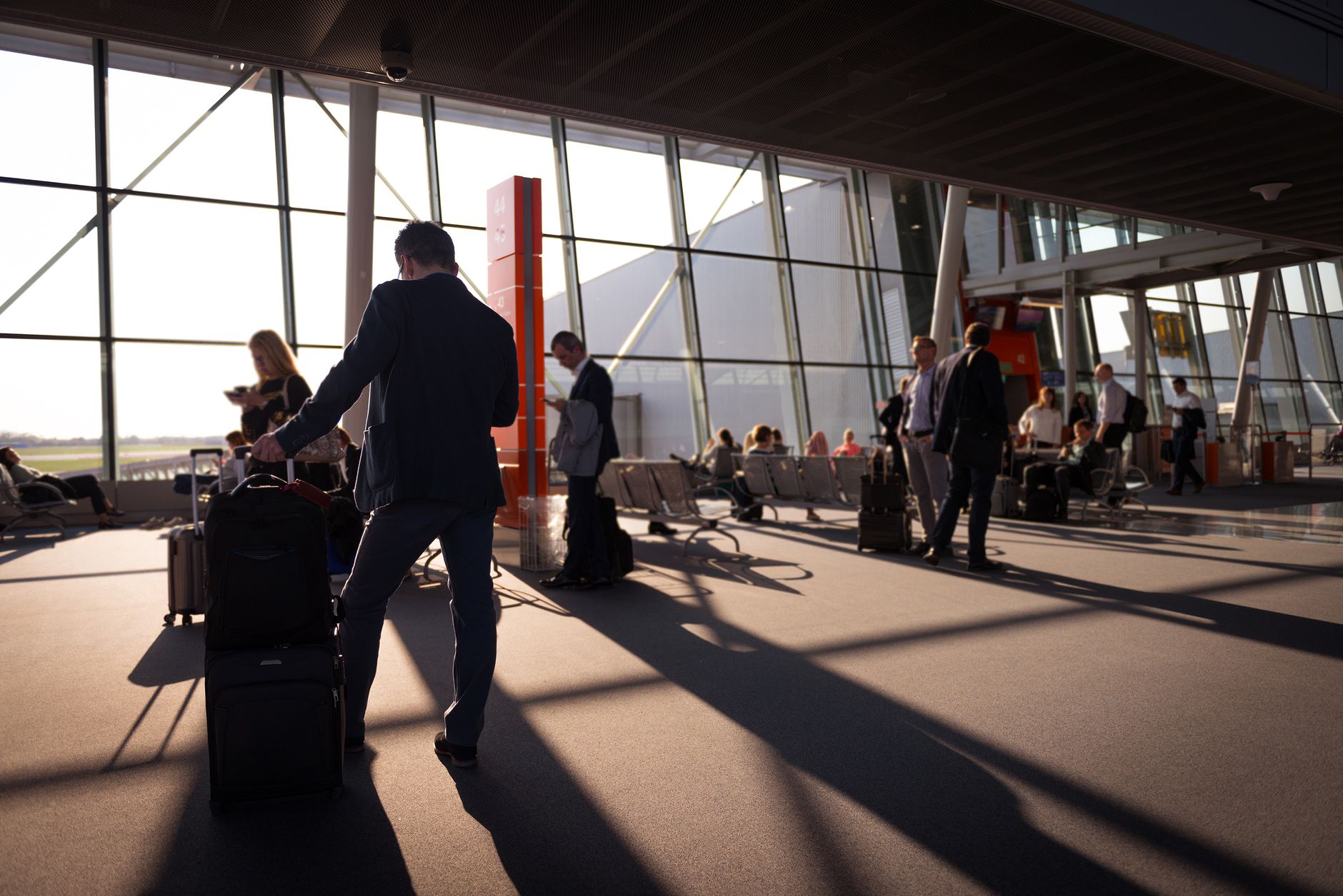 dog at airport with owner suitcase