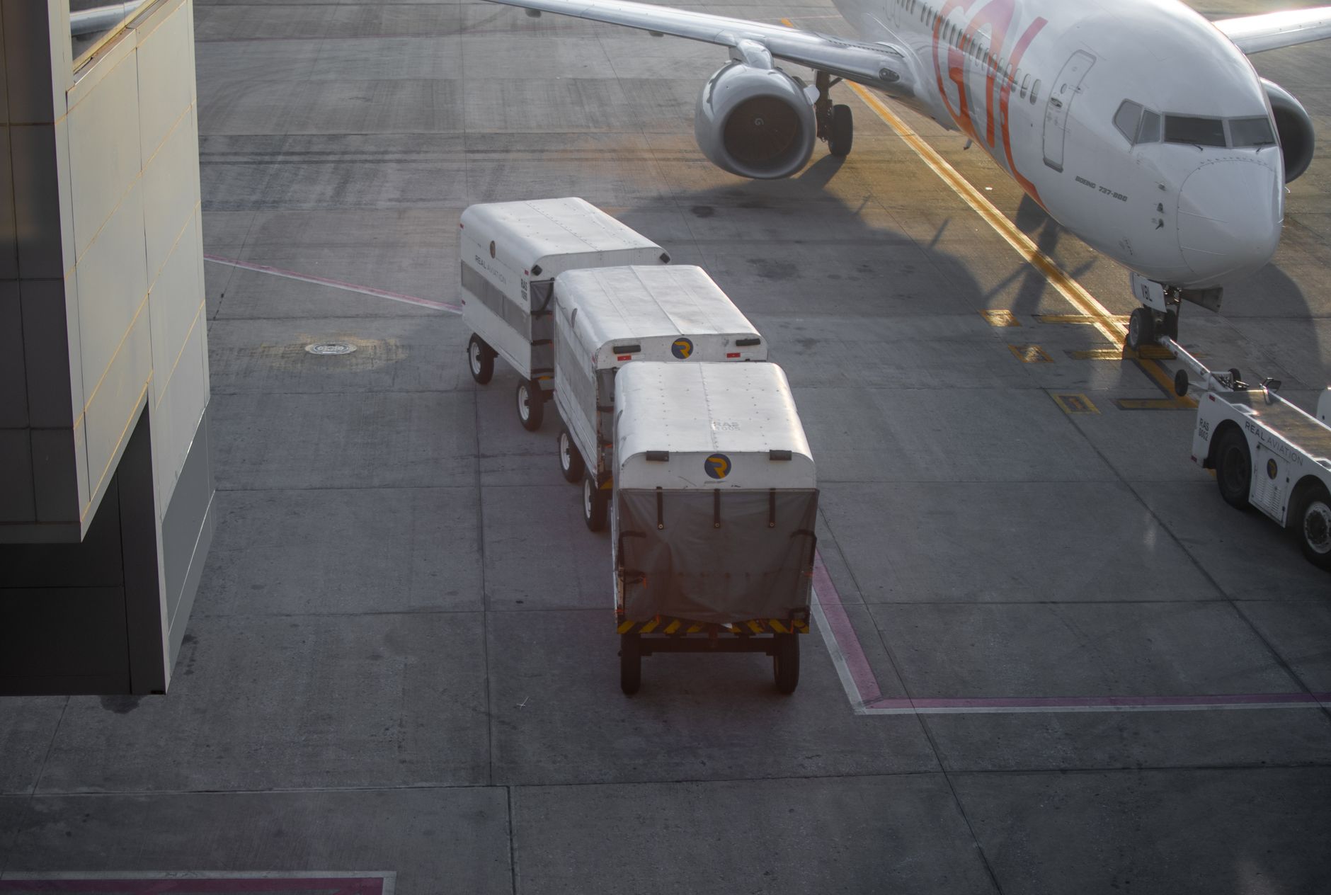 plastic pet travel kennel on airport cargo trolley