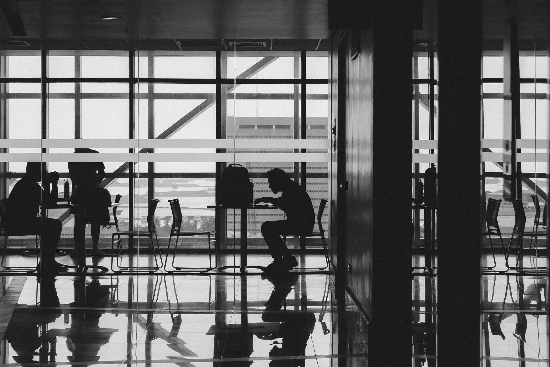 traveler carrying pet carrier through airport terminal