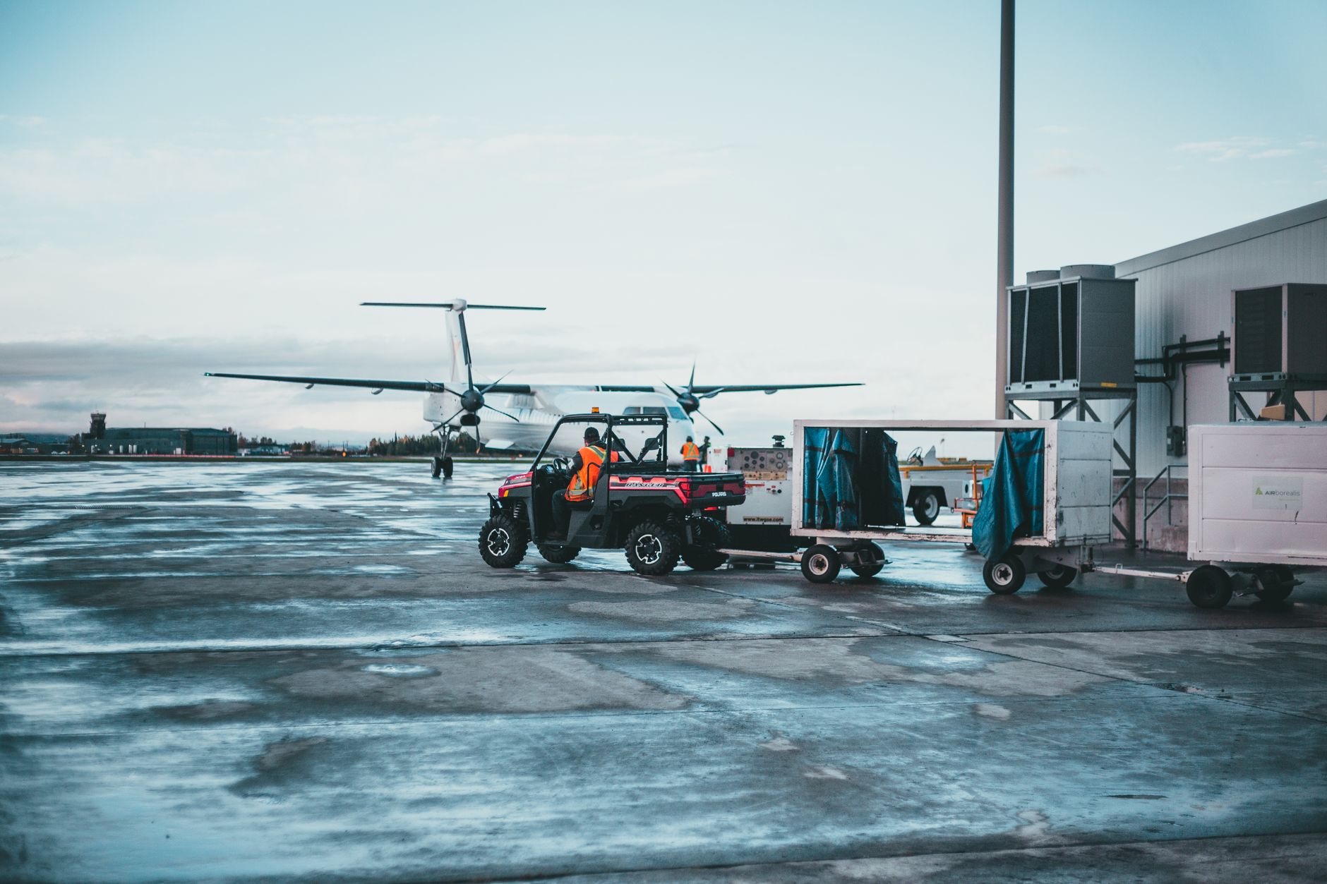 person checking dog carrier at airline cargo counter
