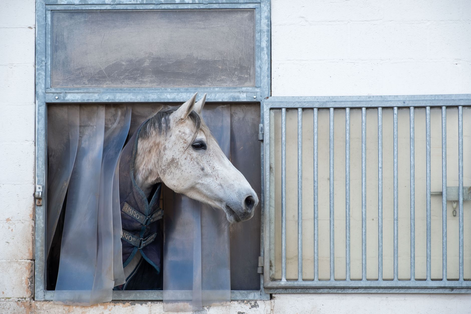 horse stall concrete quarantine barn near airport