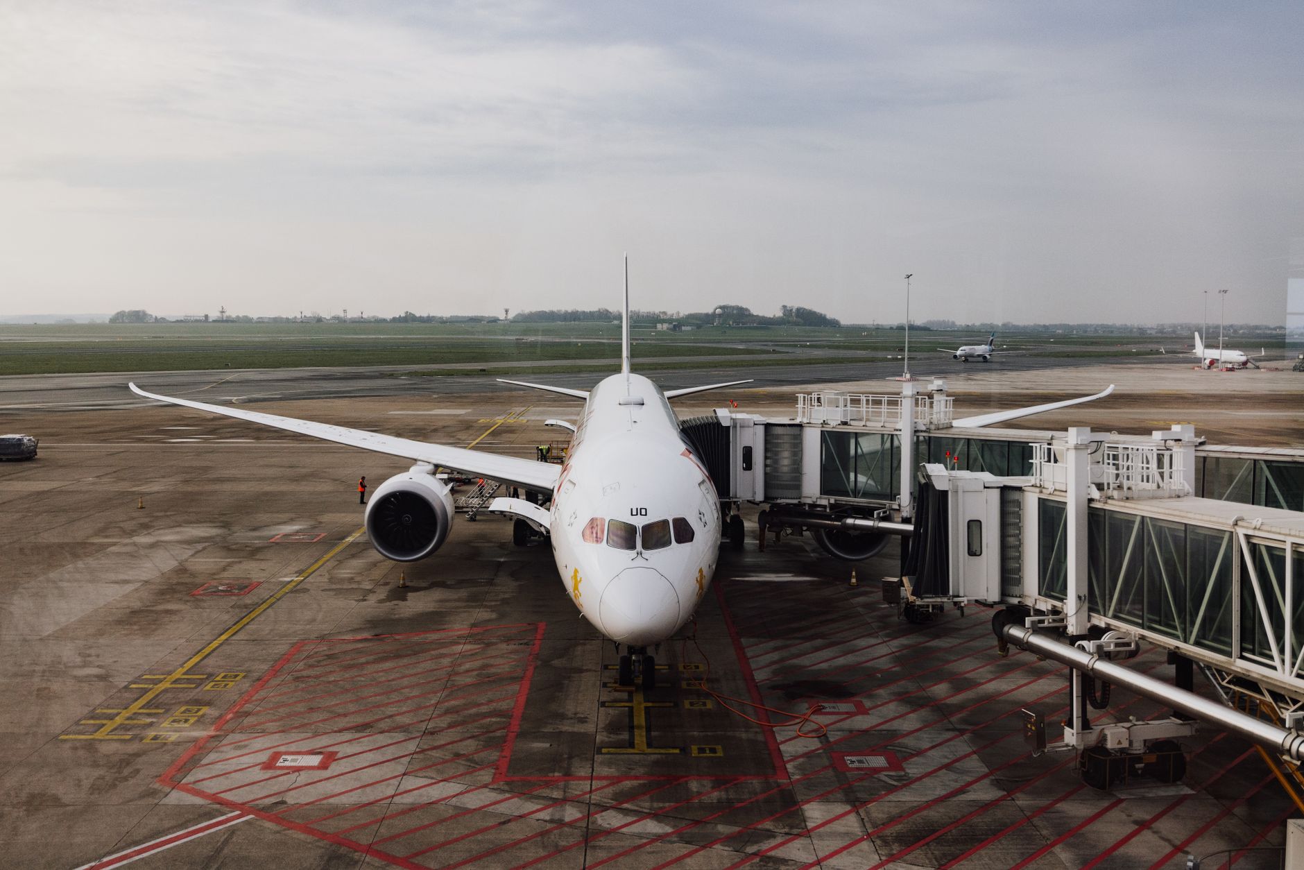 traveler with leashed dog at airport boarding gate paperwork