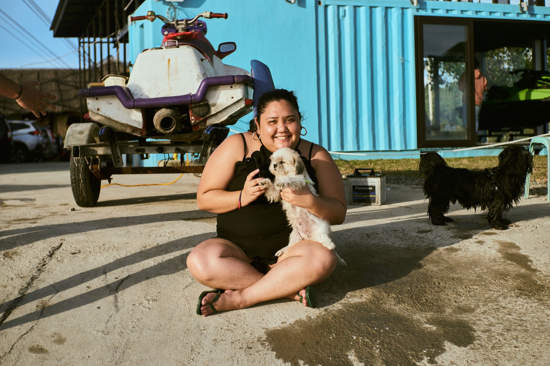 Dog Health Certificate for Mexico: 2026 USDA, APHIS & CDC Requirements