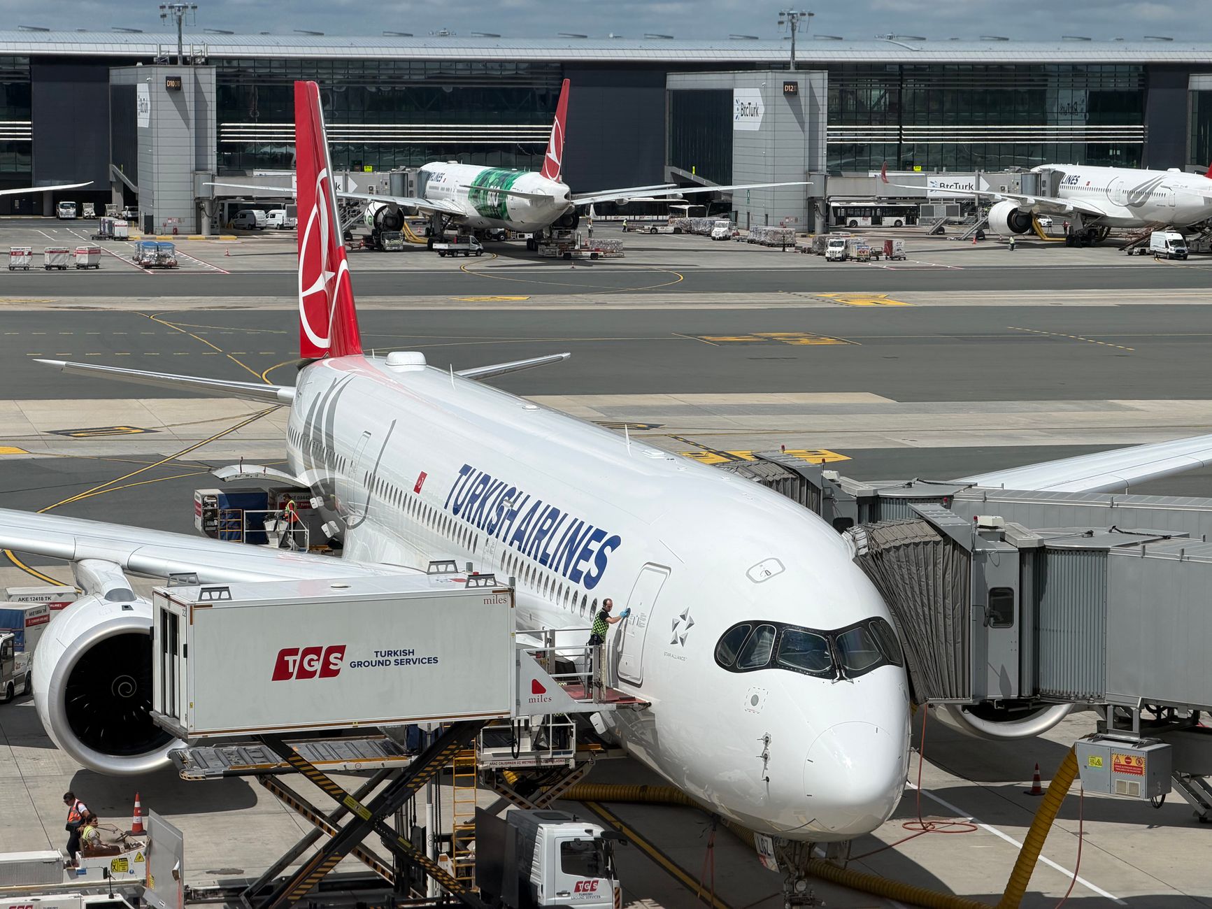 large dog standing inside rigid plastic airline travel crate at airport terminal