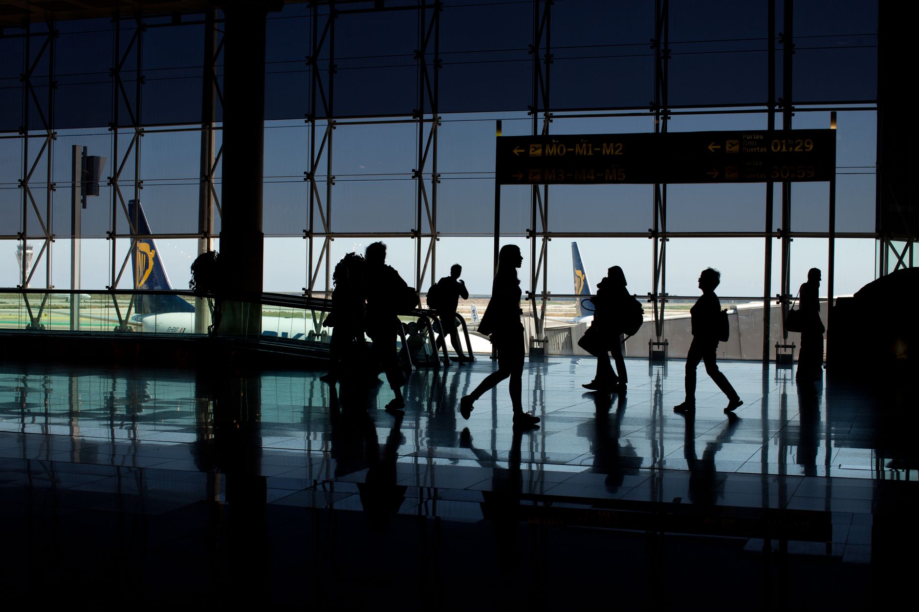 traveler carrying pet carrier through airport departure terminal