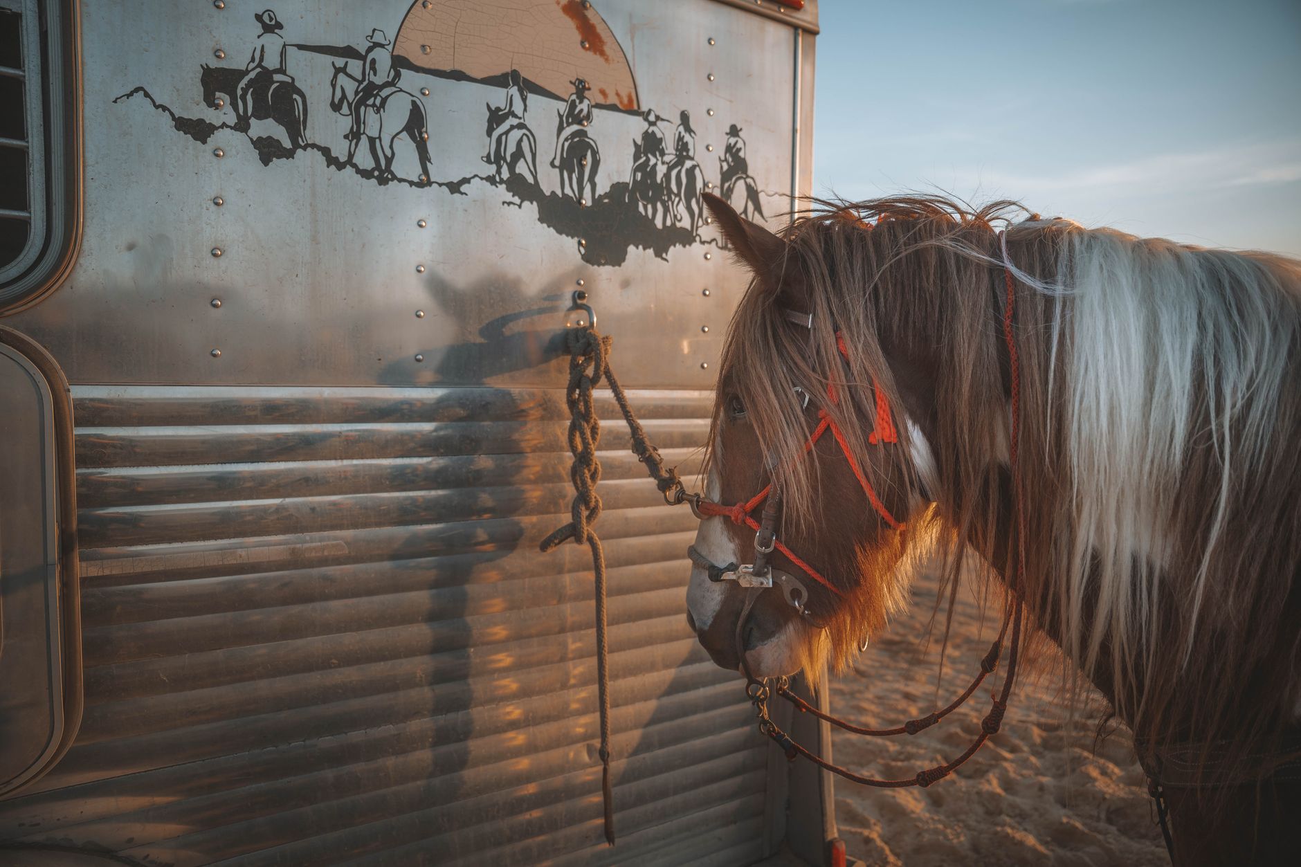 veterinarian examining horse before transport trailer farm