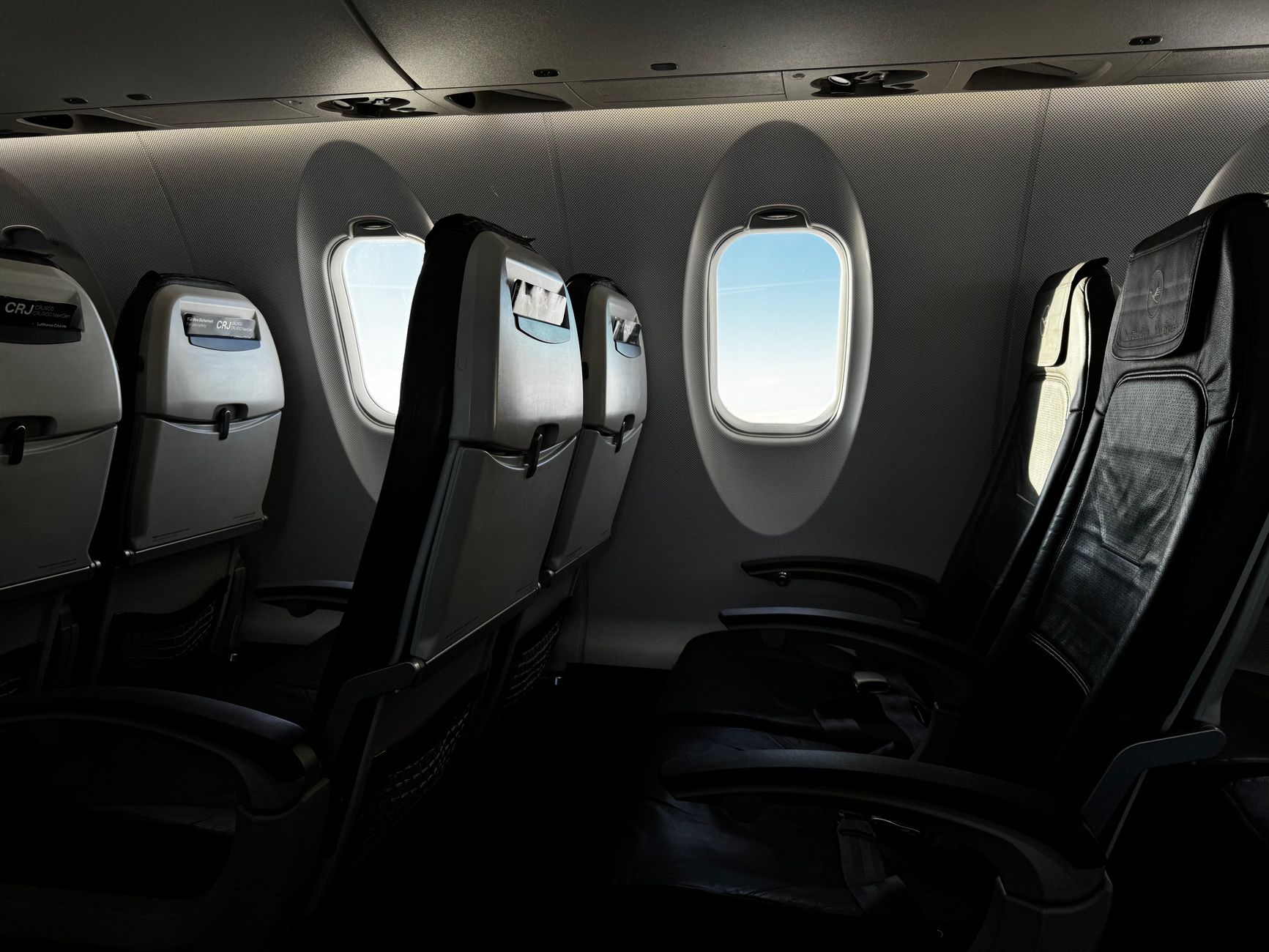 Airlines That Allow Large Dogs in Cabin: 2026 Guide to Real Options