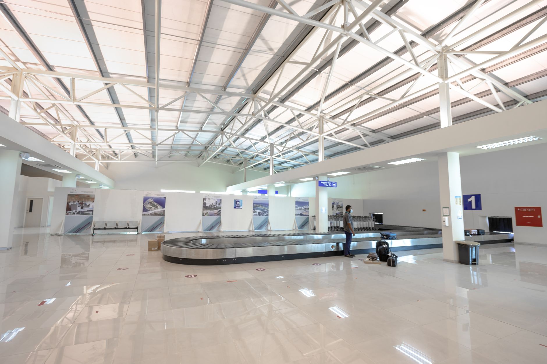 Pet Travel International: USDA APHIS and CDC Forms Explained
