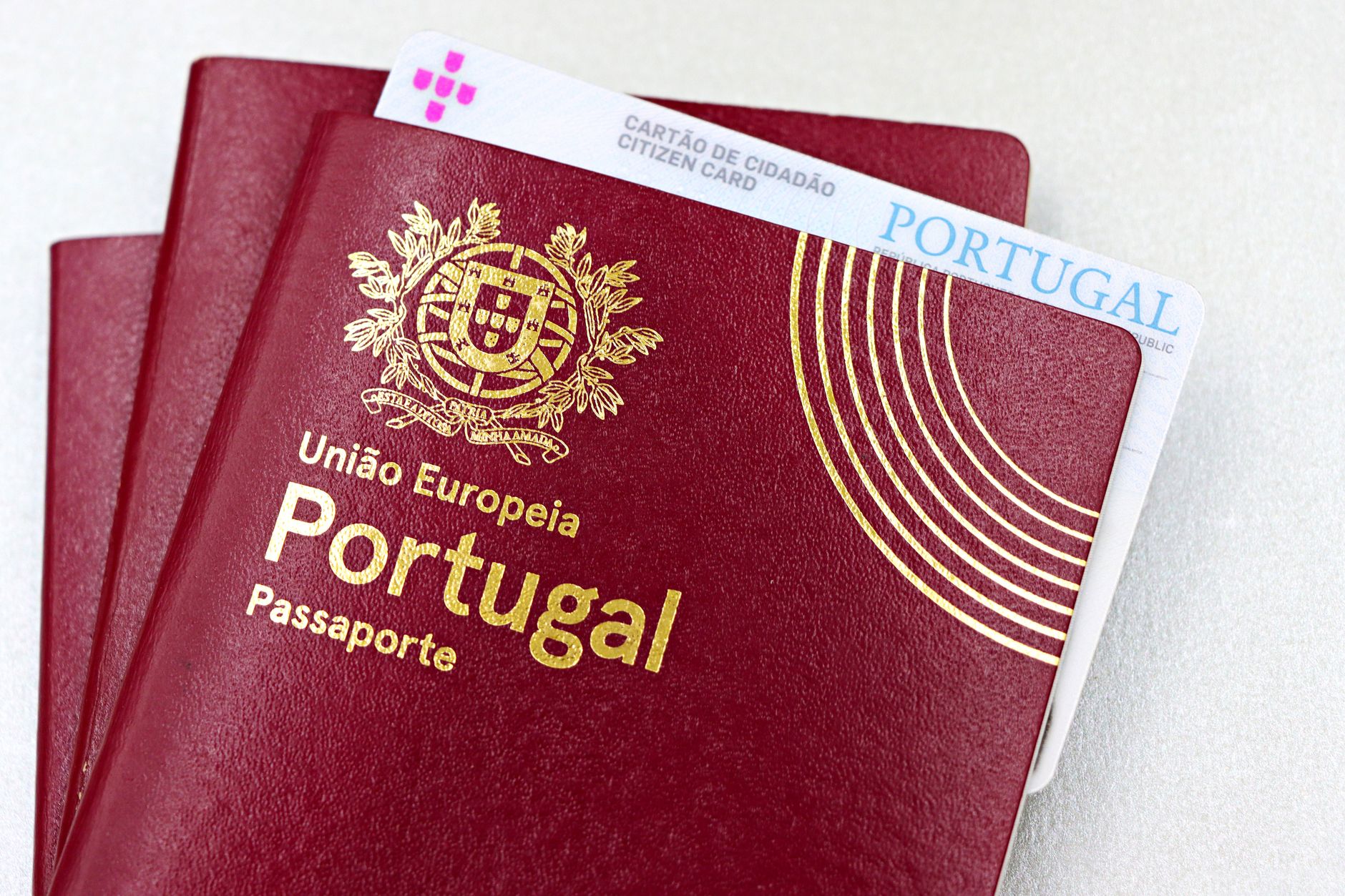 United States Pet Passport: What Actually Exists in 2026