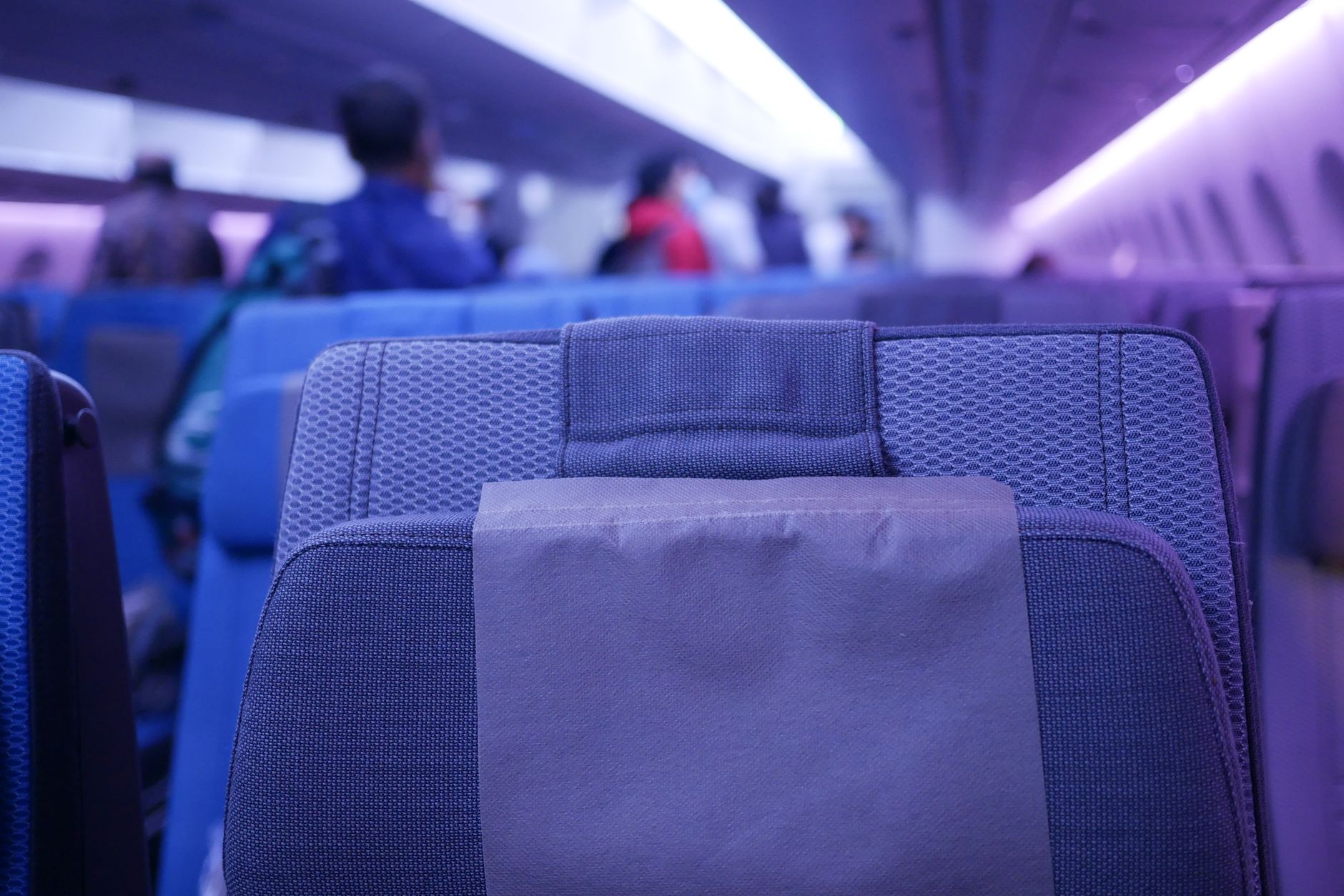 pet carrier crate inside airline cabin passenger seat