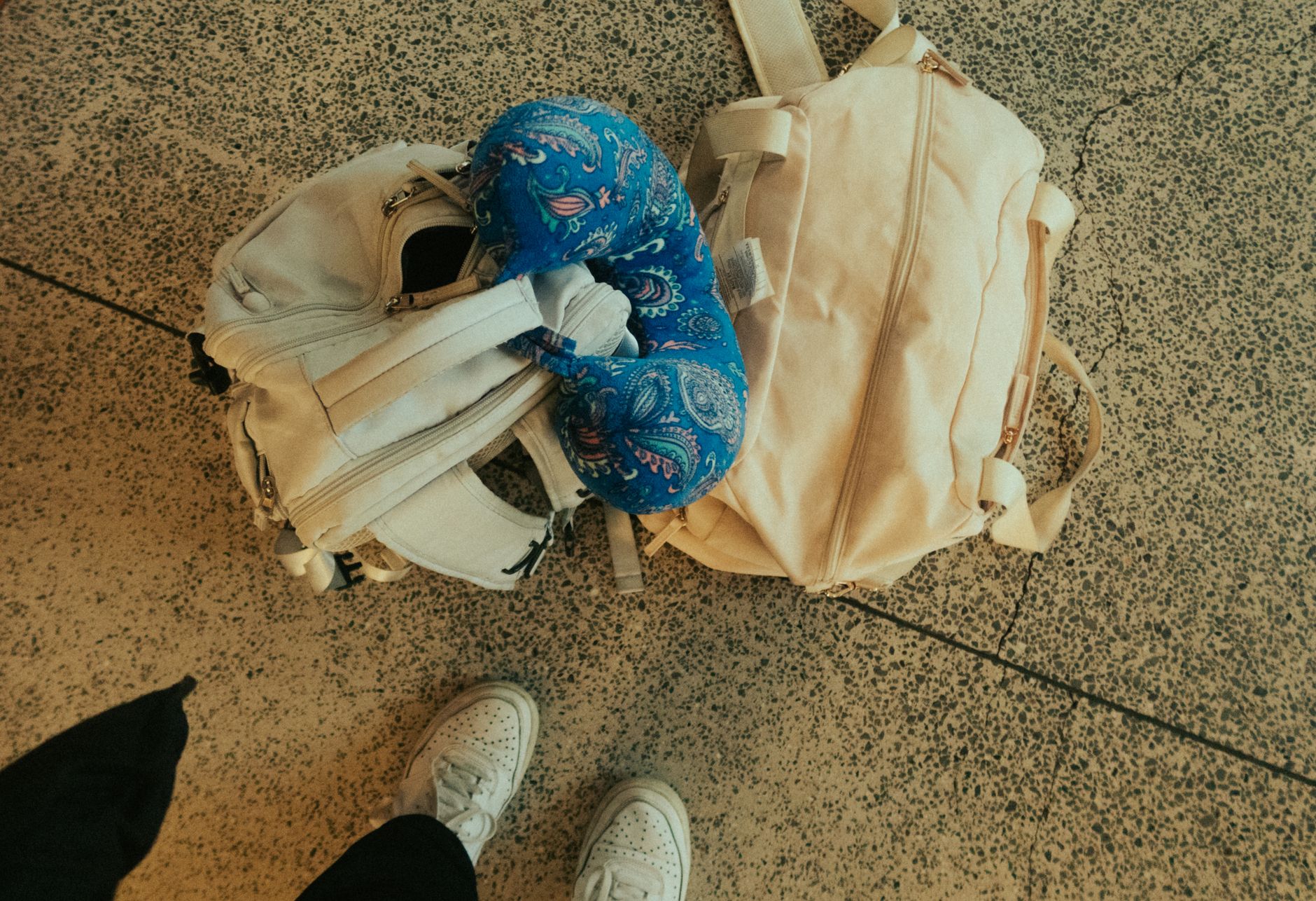 Travel Carrier Bag Guide: Soft-Sided Pet Carriers for Flights