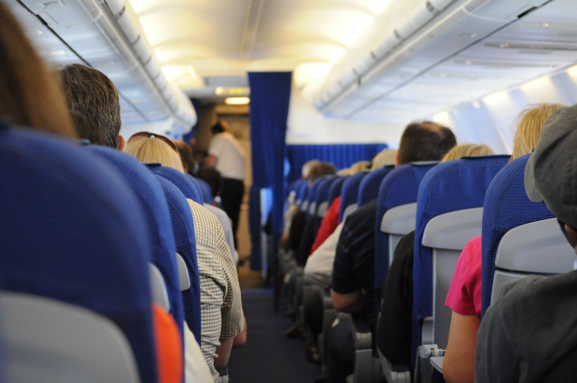 Can Emotional Support Dogs Fly on Airplanes? 2026 Rules