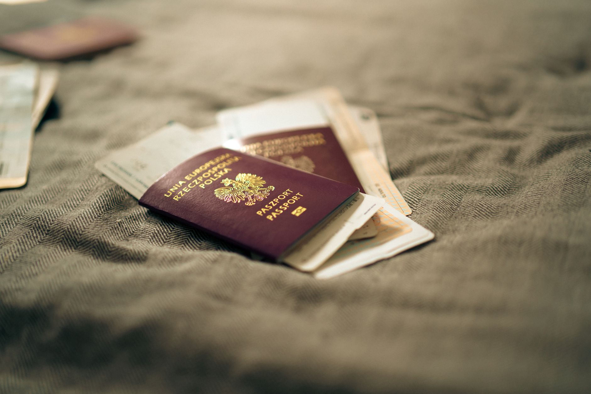dog in travel carrier next to passport and documents on airport floor