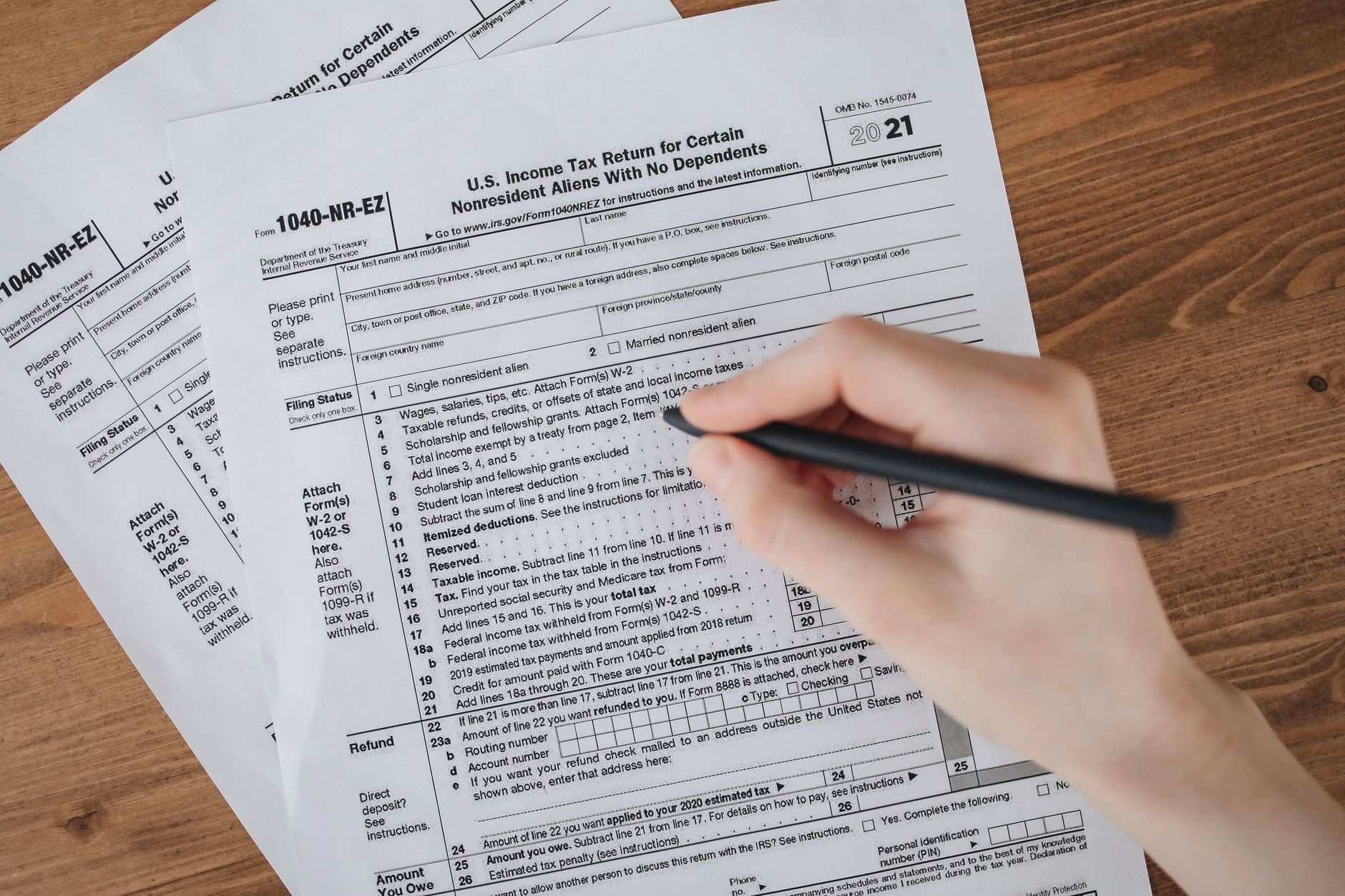 person filling out pet travel document paperwork with cat nearby