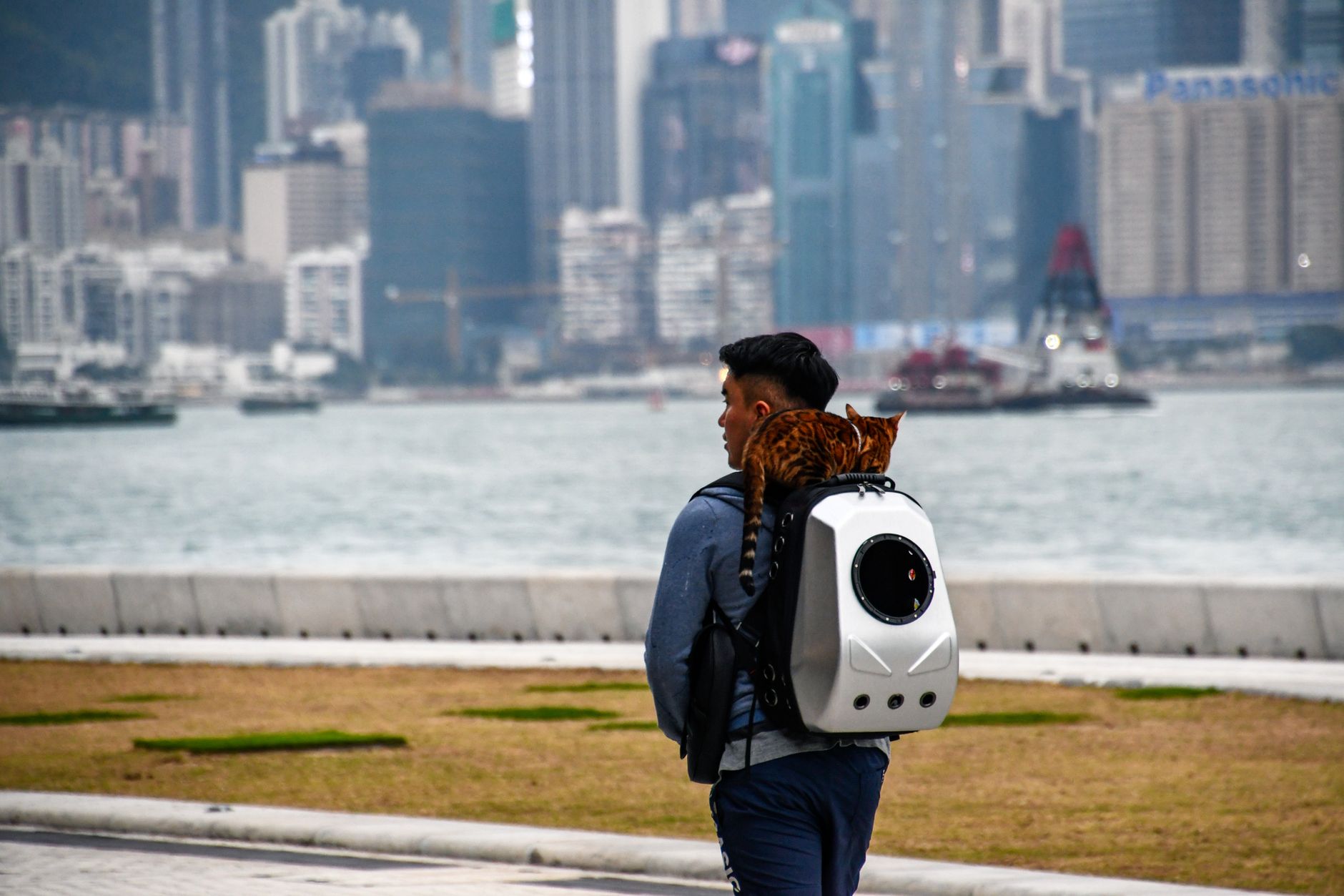 family with cat pet carrier boarding ferry Europe