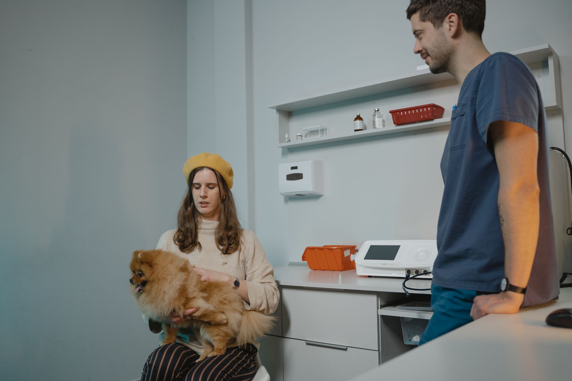 Pet Moving Services: Costs, Requirements, and How to Choose One (2026 Guide)