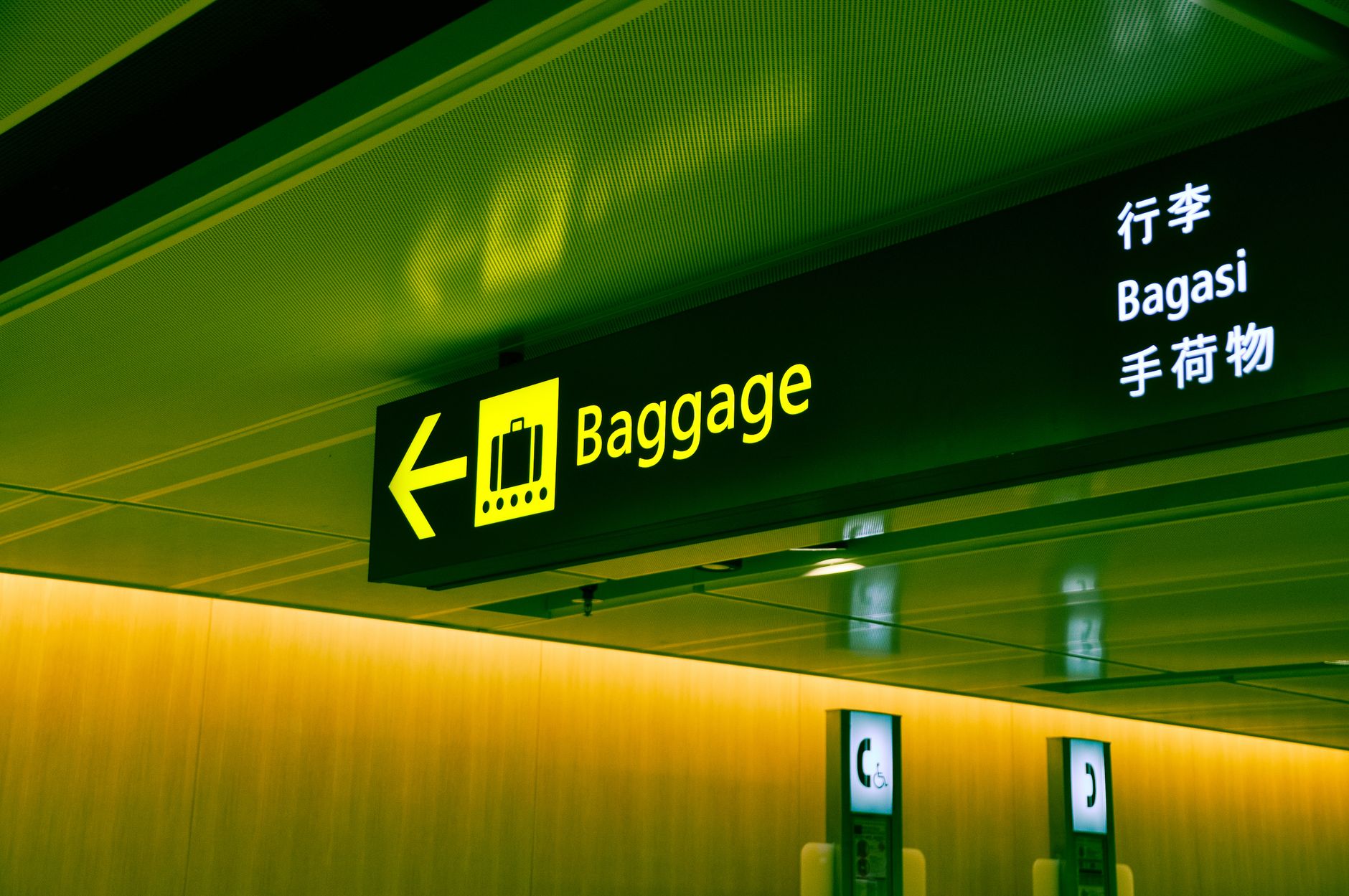 traveler greeting dog after international airport baggage claim