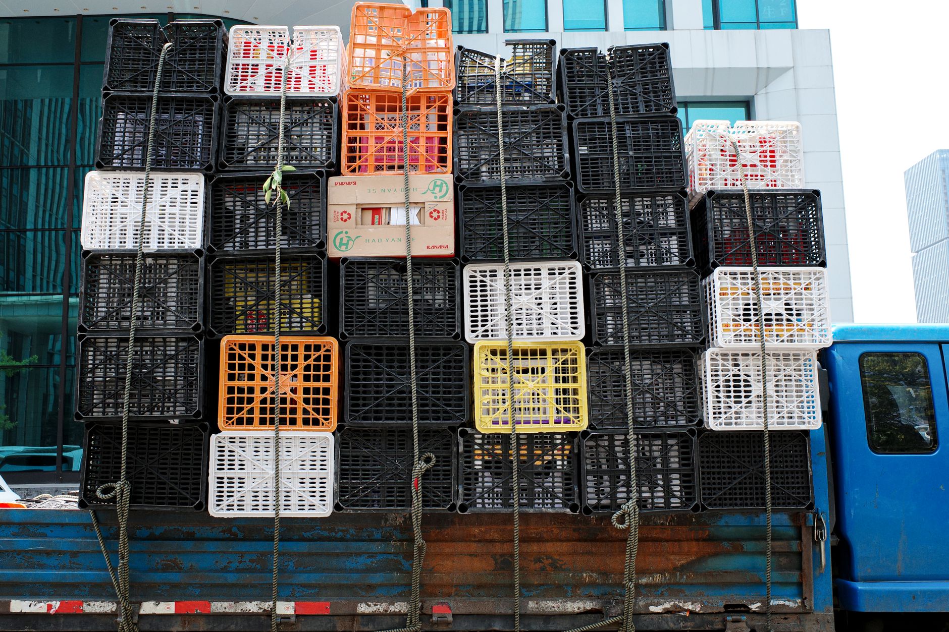 hard plastic dog crate on airport cargo trolley