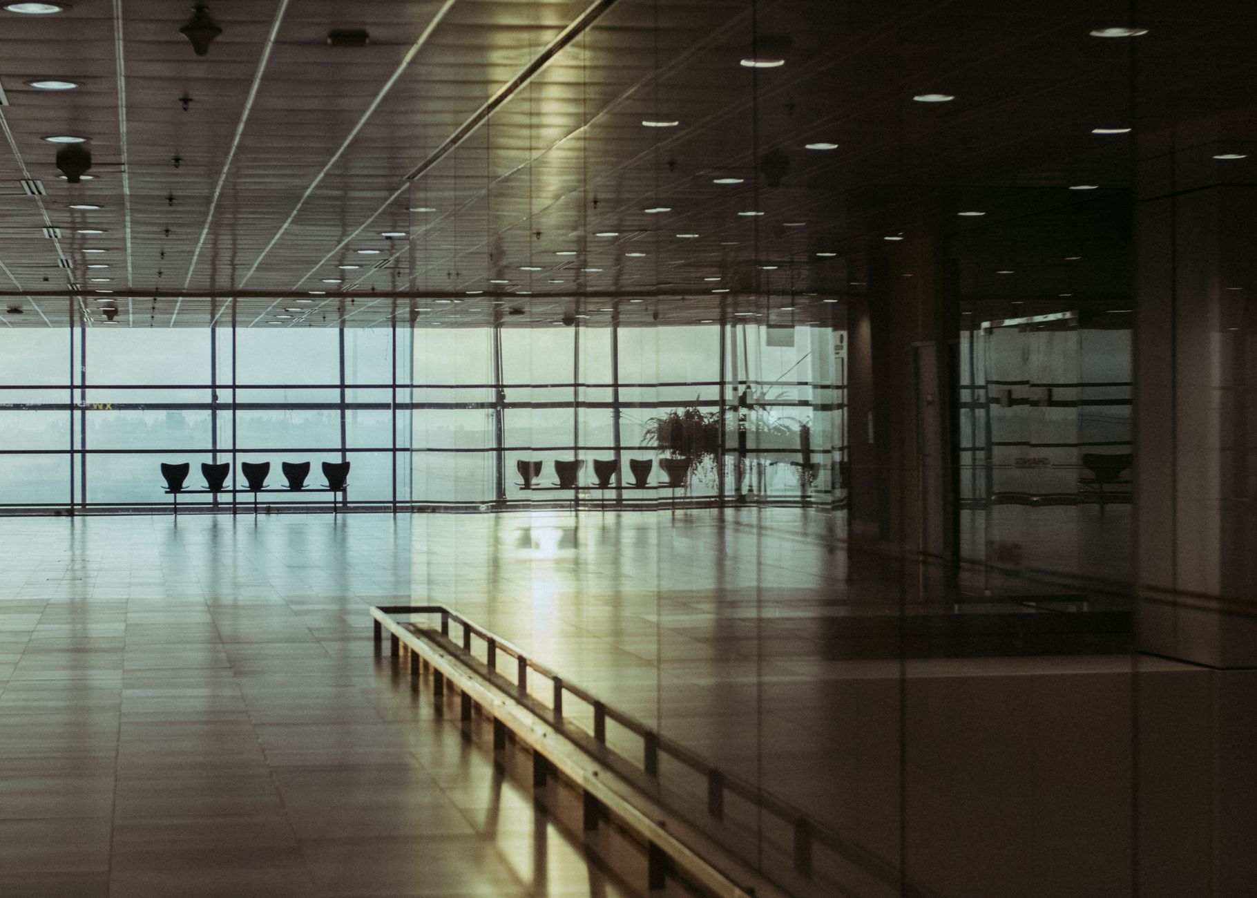 airport pet relief area dog leash terminal hallway