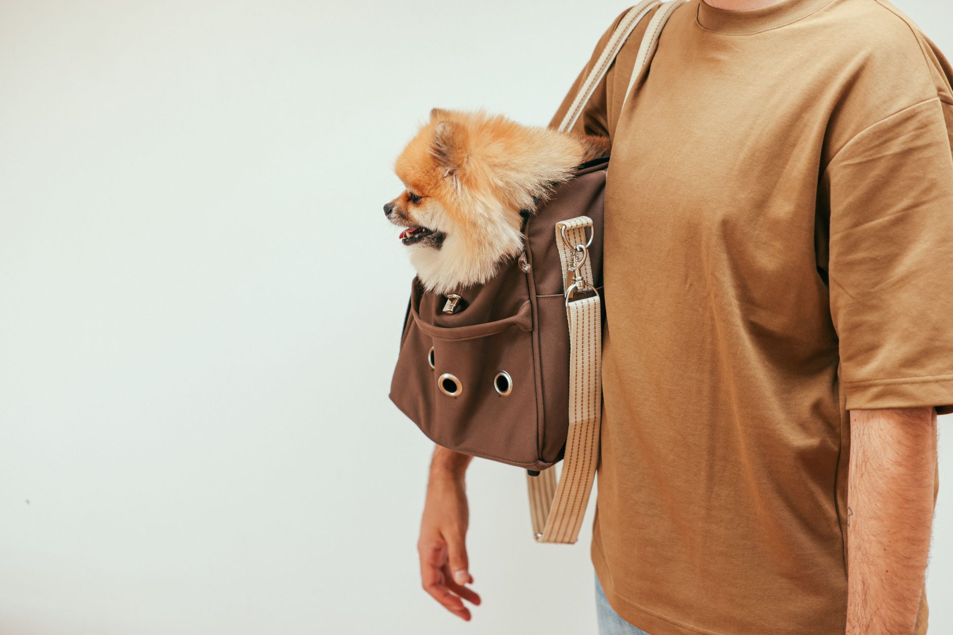 dog carrier bag on scale being weighed for travel