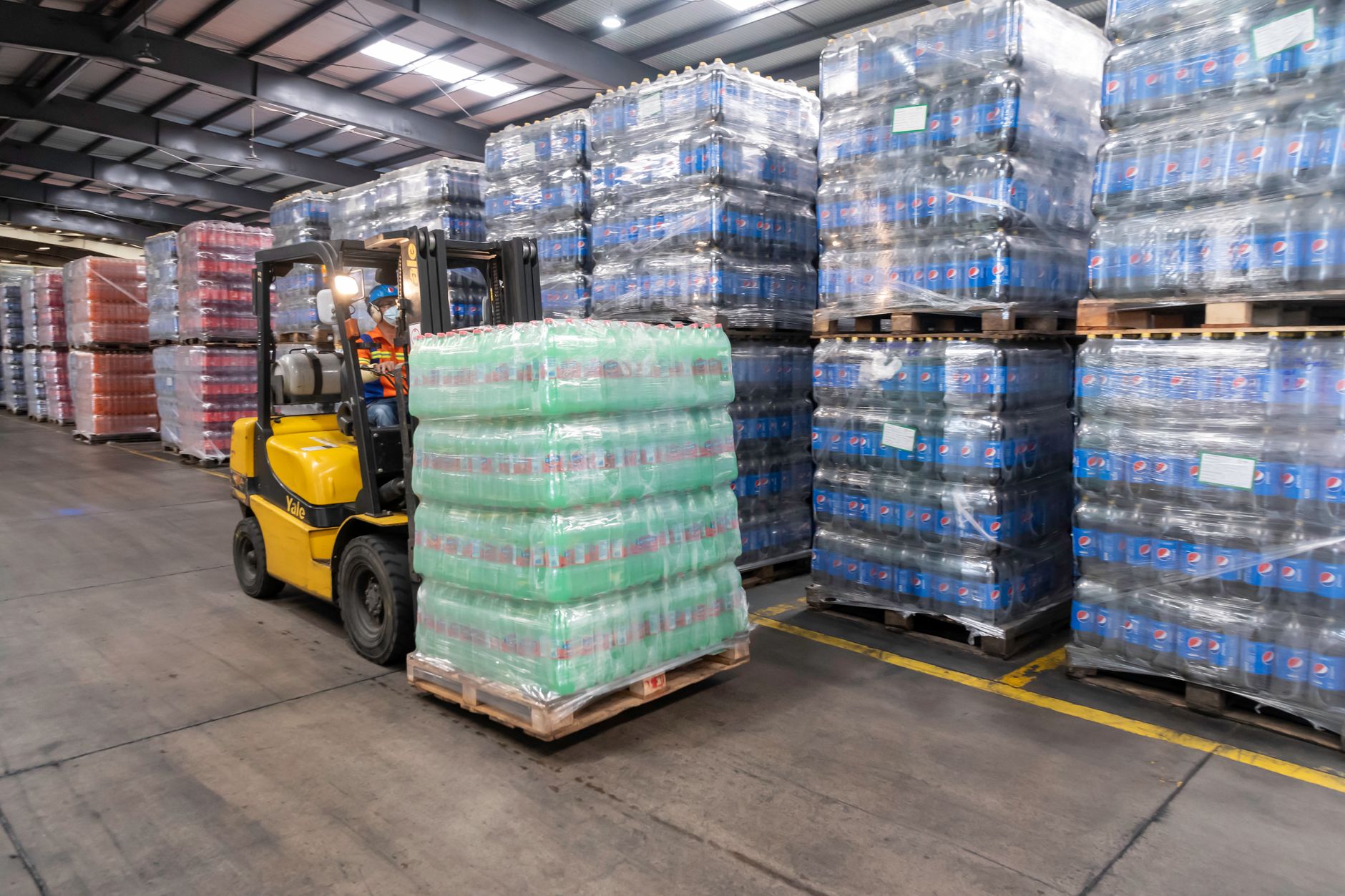 Pets Shipping Explained: Airline Cargo, Crates, and Official Rules